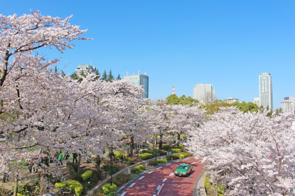 東京ミッドタウンの桜