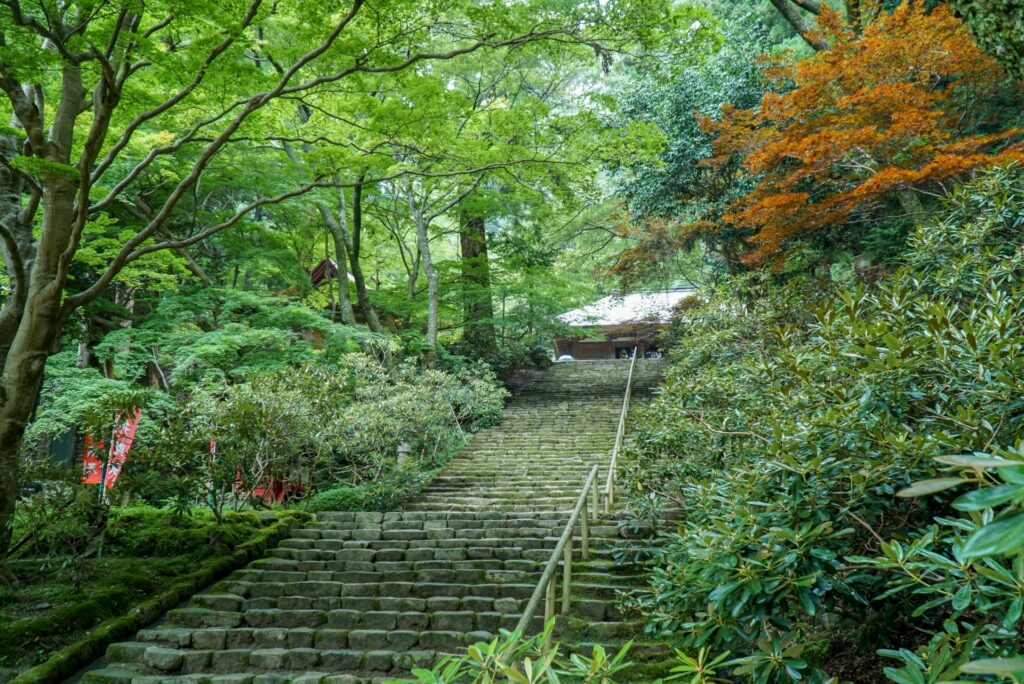 室生寺の鎧坂の石段