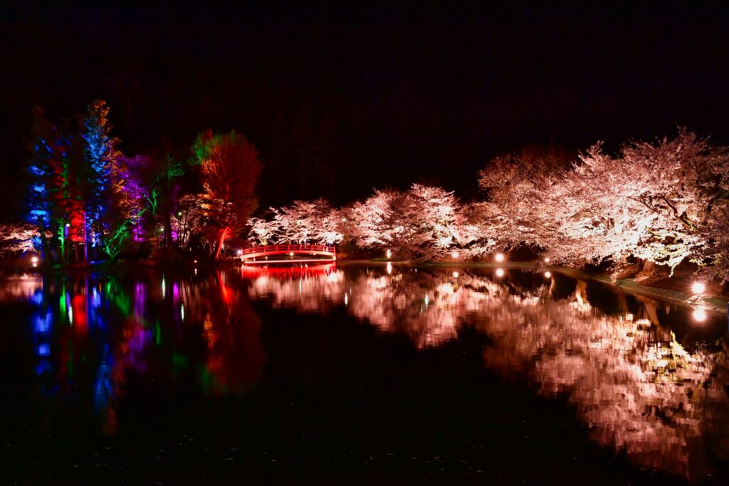 2026年現在|臥竜公園桜まつりの開花状況とおでんの屋台情報 臥竜公園の夜桜ライトアップ
