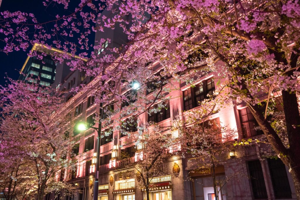 江戸桜通りの夜桜ライトアップ