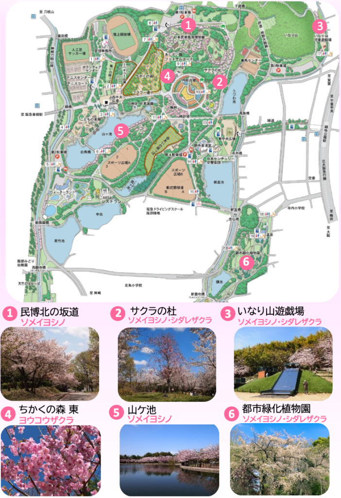 服部緑地の桜マップ