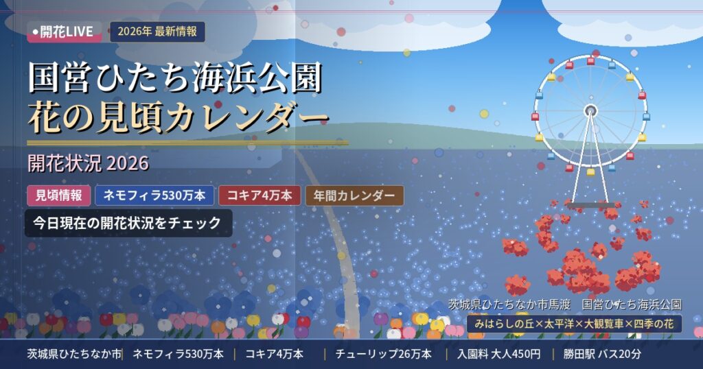 国営ひたち海浜公園の開花状況