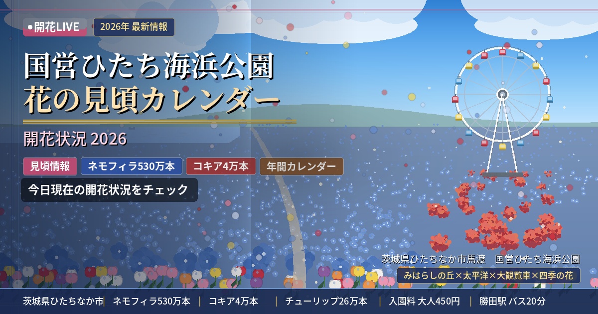 国営ひたち海浜公園の開花状況