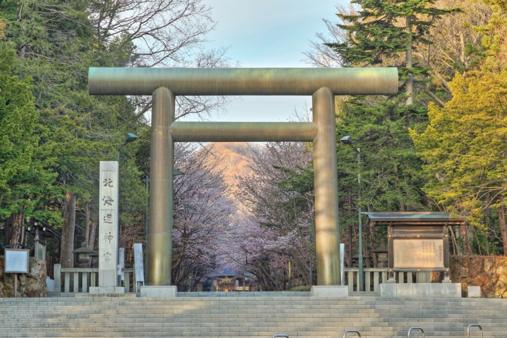 北海道神宮の桜