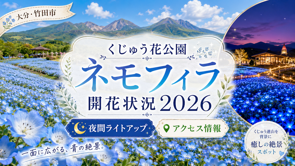 くじゅう花公園ネモフィラ