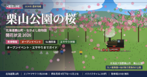 栗山公園(北海道)桜の開花状況