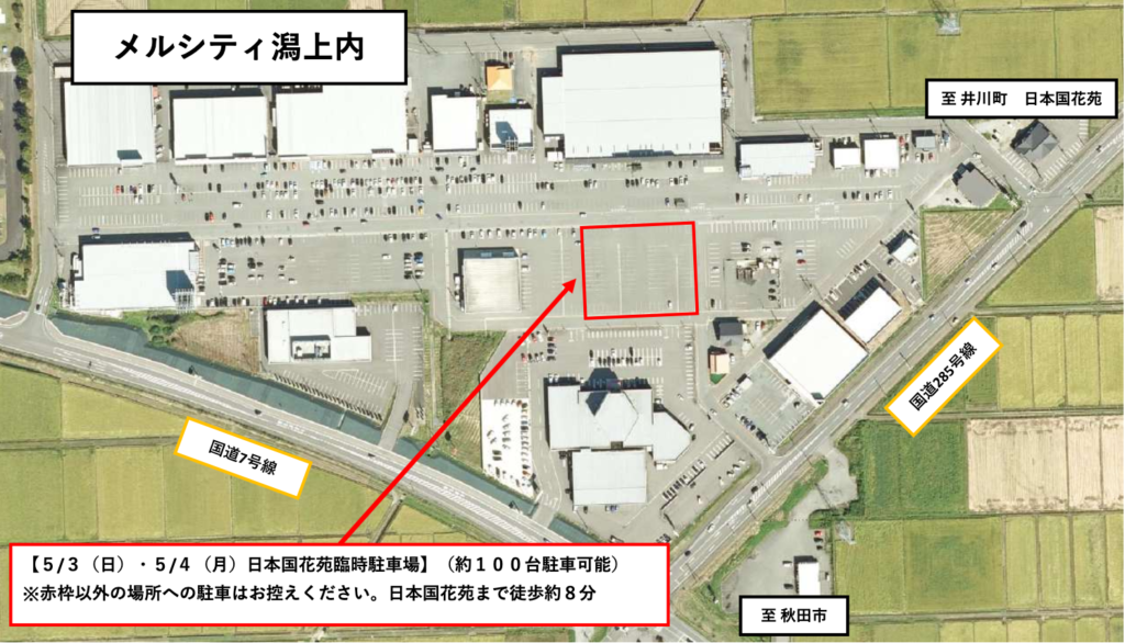 日本国花苑桜まつりの駐車場