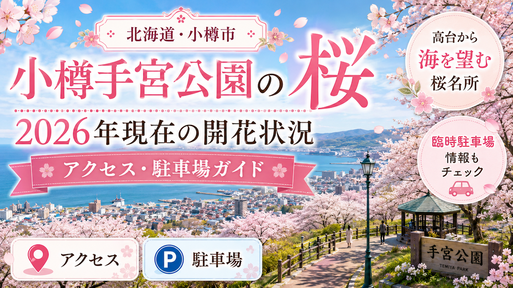 小樽手宮公園の桜