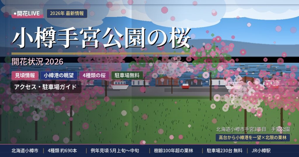 小樽手宮公園の桜の開花状況