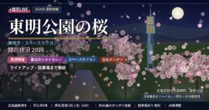 東明公園(美唄)桜の開花状況