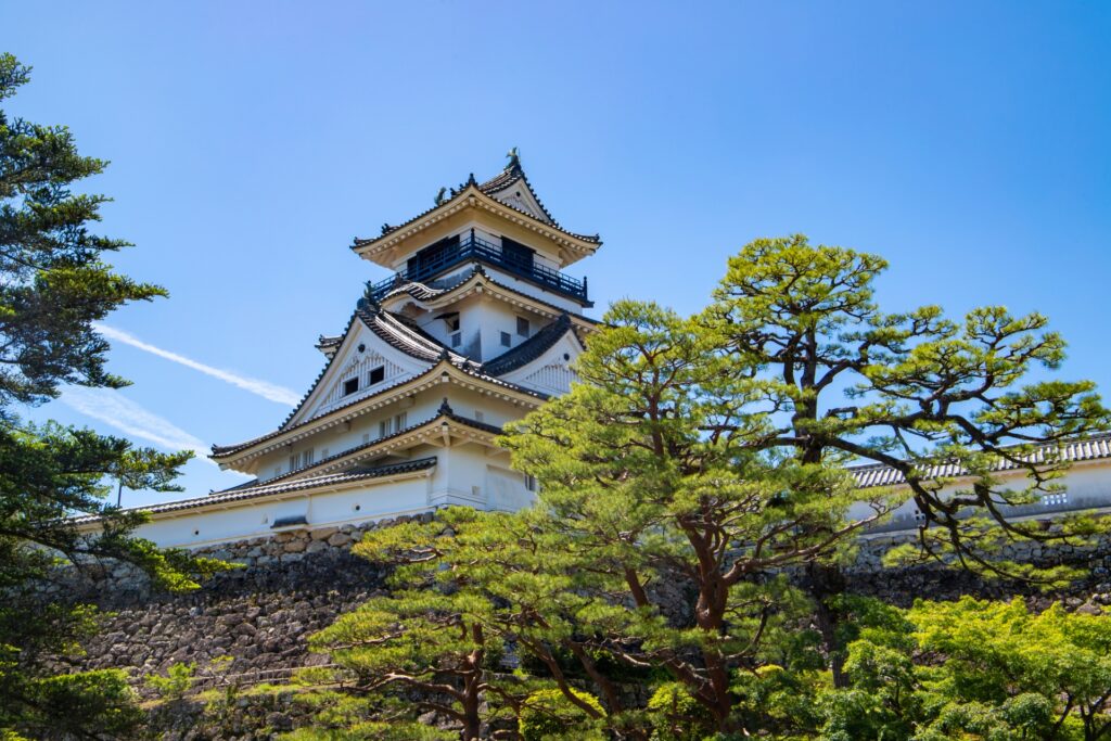高知・北川村「モネの庭」青い睡蓮の開花状況2026|現在の見頃とランチ情報 高知城