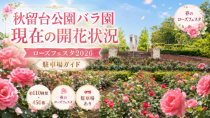 秋留台公園バラ園