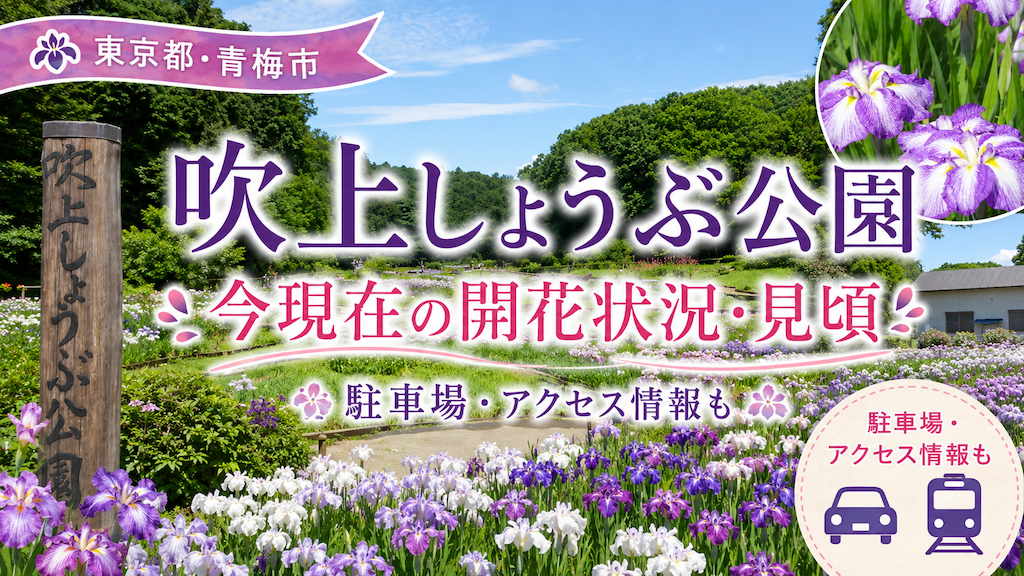 吹上しょうぶ公園