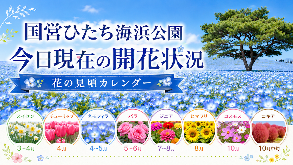 国営ひたち海浜公園の花