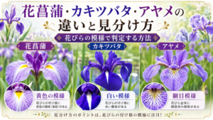 賀茂花菖蒲園