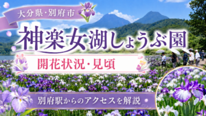 神楽女湖しょうぶ園