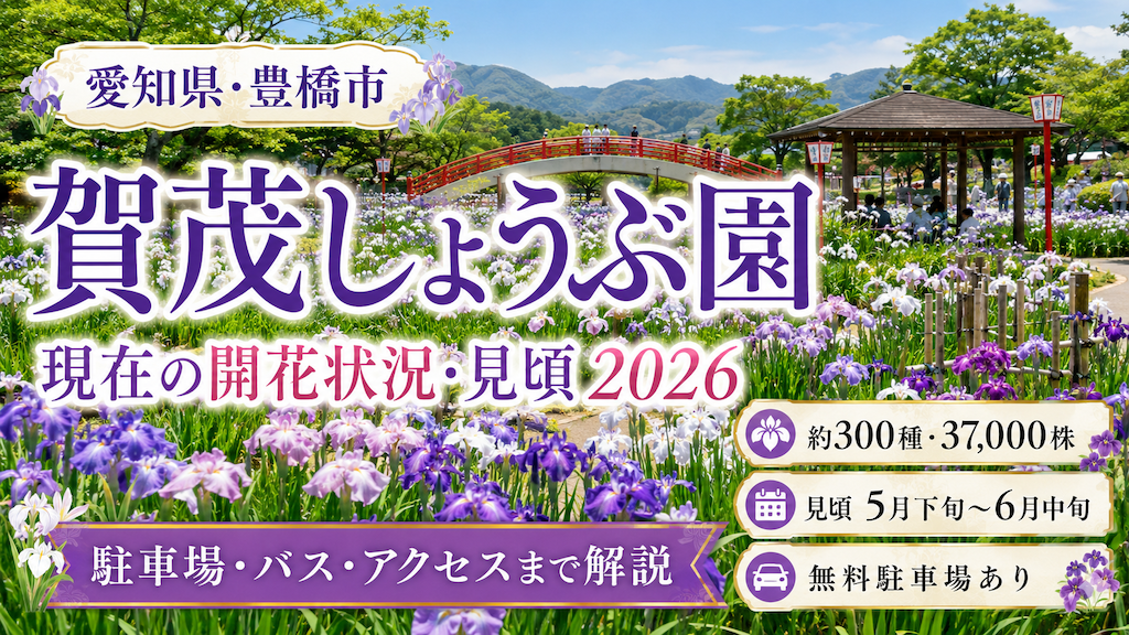 賀茂花菖蒲園