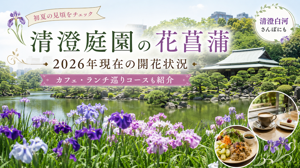 清澄庭園の花菖蒲