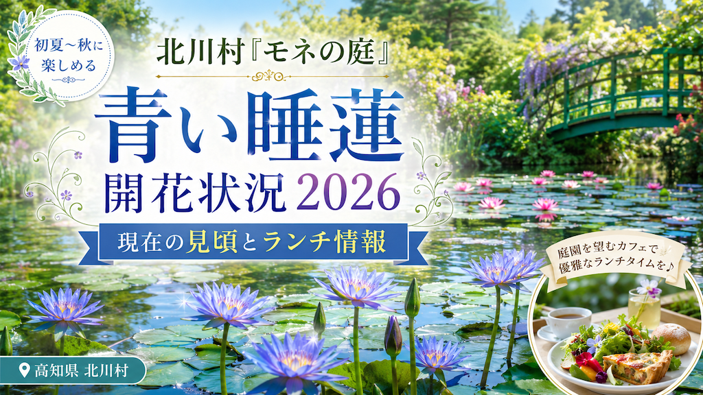 高知・北川村「モネの庭」青い睡蓮の開花状況2026｜現在の見頃とランチ