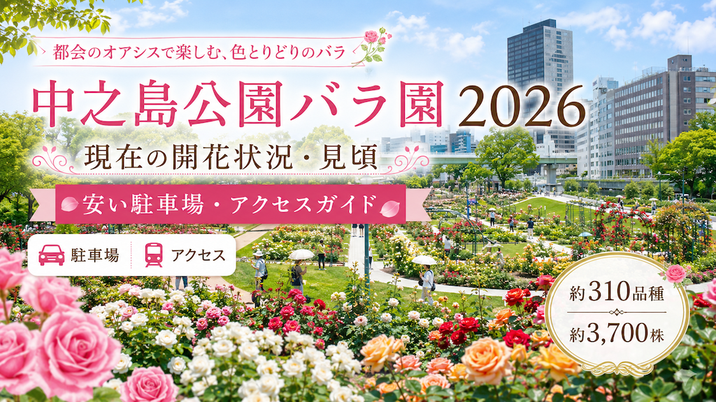中之島公園バラ園
