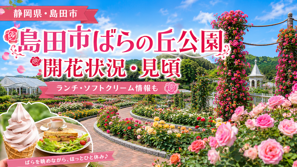 島田市ばらの丘公園