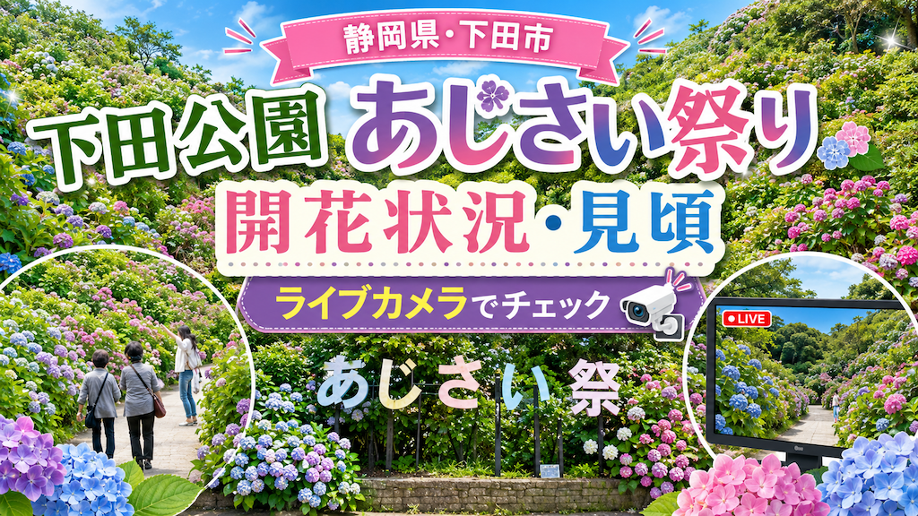 下田公園あじさい祭り
