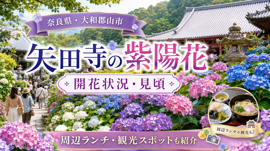 矢田寺の紫陽花