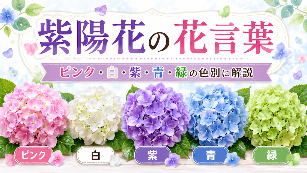 紫陽花の花言葉