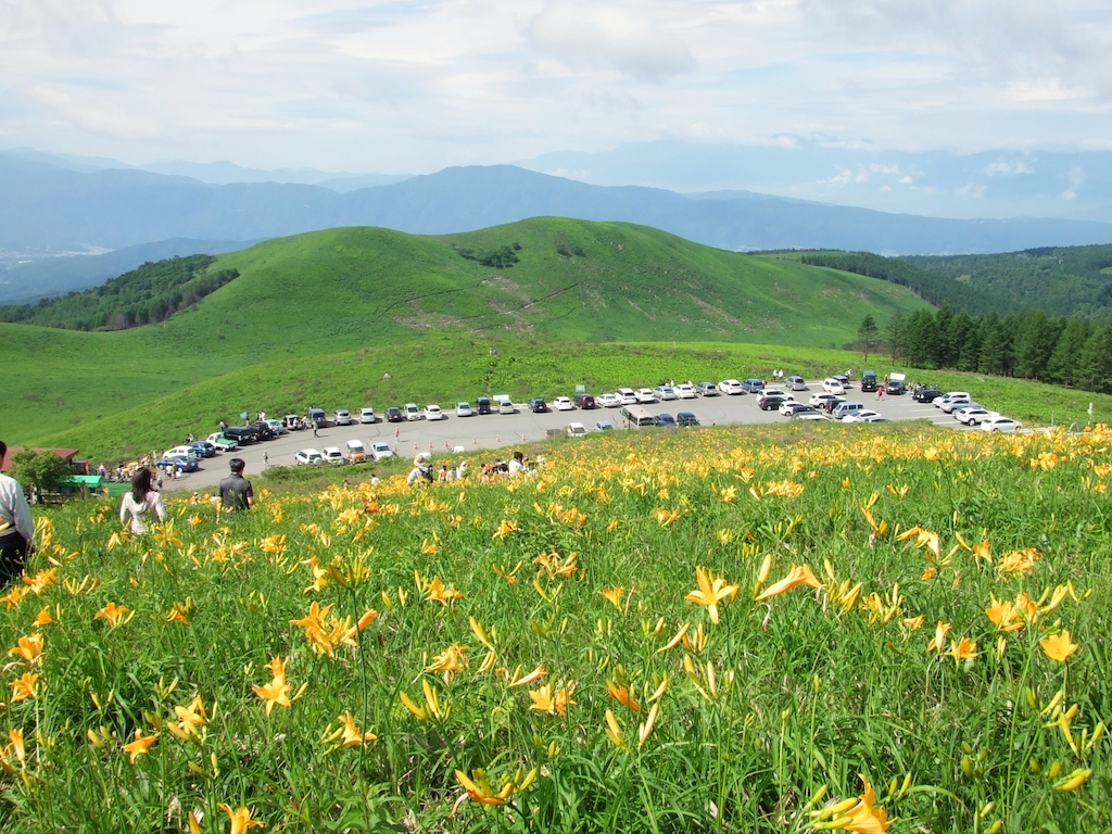 富士見台ニッコウキスゲ群生地の見頃・開花状況|駐車場・アクセス方法も 富士見台のニッコウキスゲ群生地