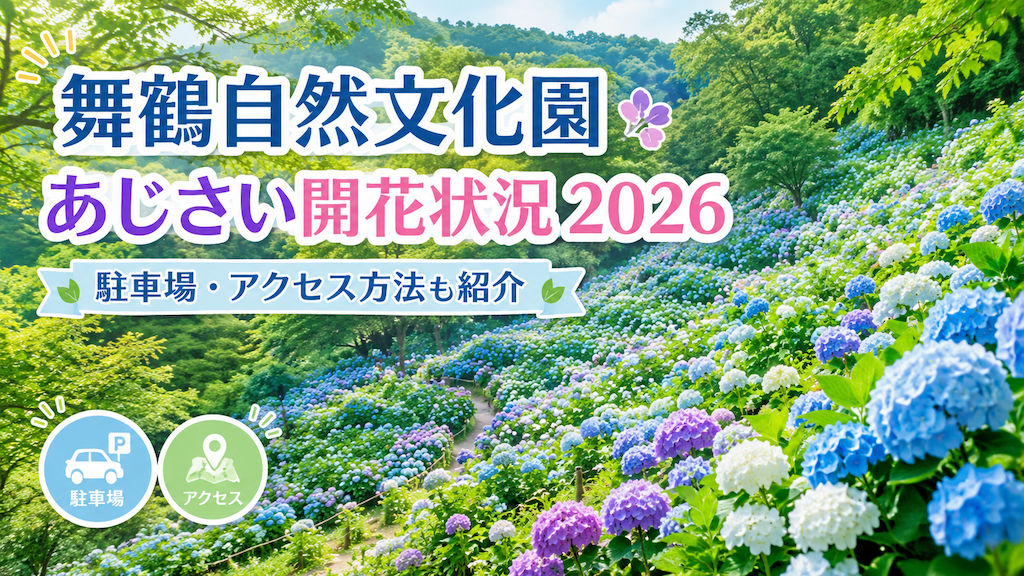 舞鶴自然文化園あじさい