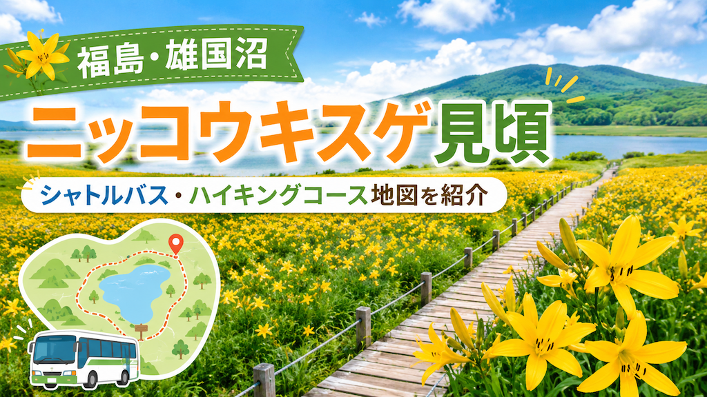 雄国沼ニッコウキスゲ