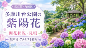 多摩川台公園の紫陽花