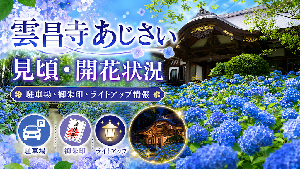 雲昌寺あじさい