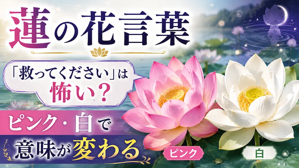 蓮の花言葉