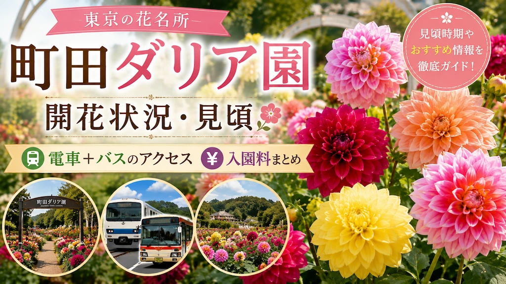 町田ダリア園の開花状況・見頃