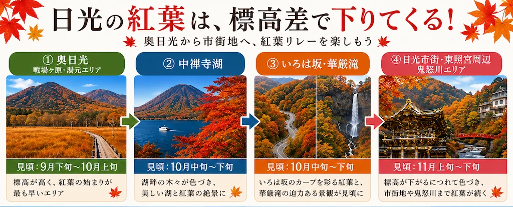 日光の紅葉