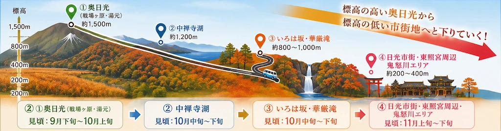 日光の紅葉