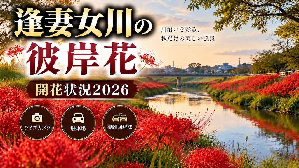逢妻女川の彼岸花