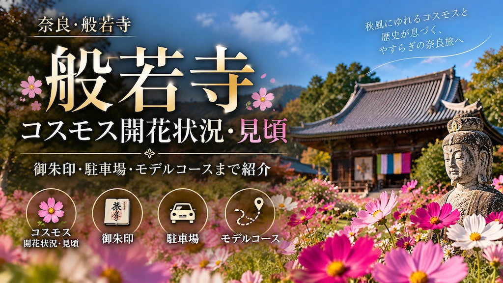 般若寺コスモス開花状況・見頃