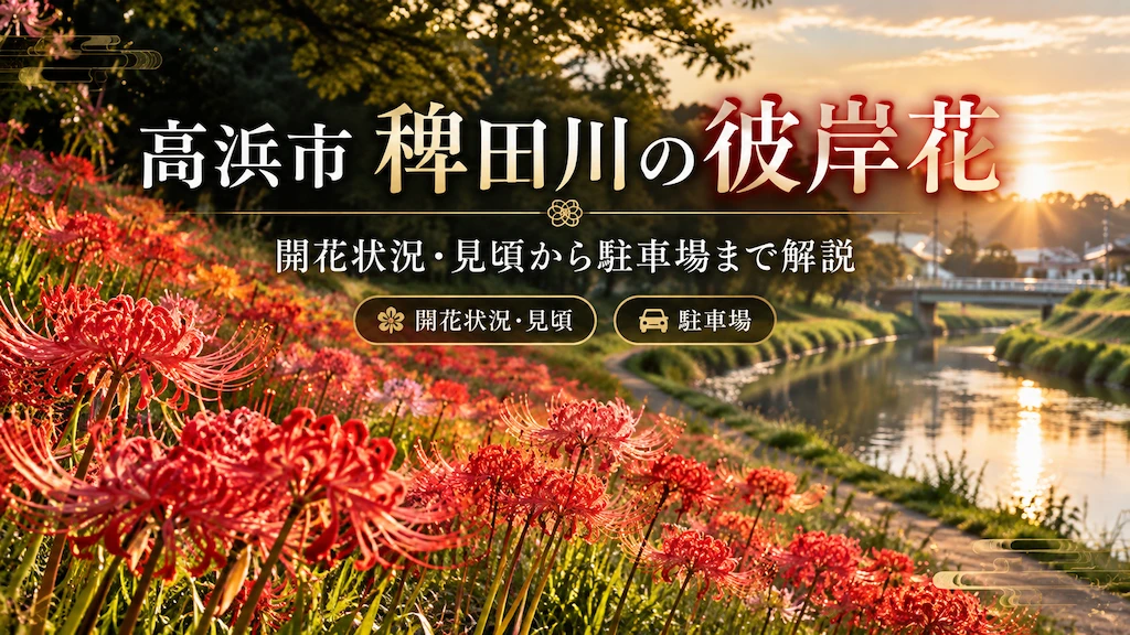 高浜市 稗田川の彼岸花
