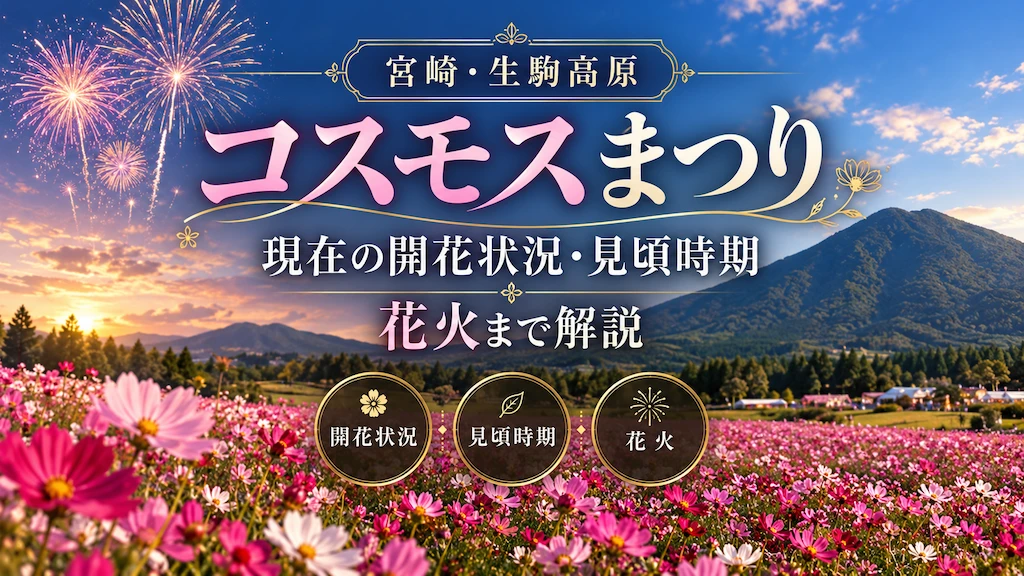 生駒高原コスモスまつり