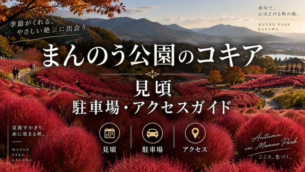 まんのう公園のコキア