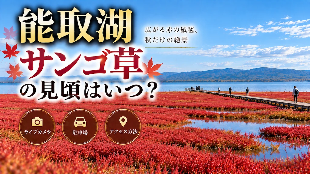 能取湖サンゴ草の見頃
