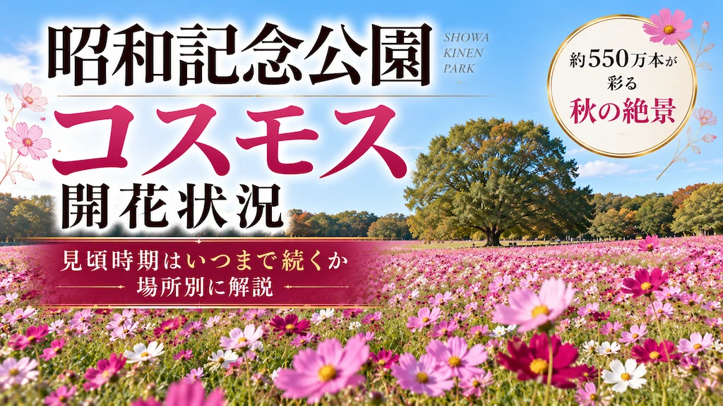 昭和記念公園コスモス開花状況