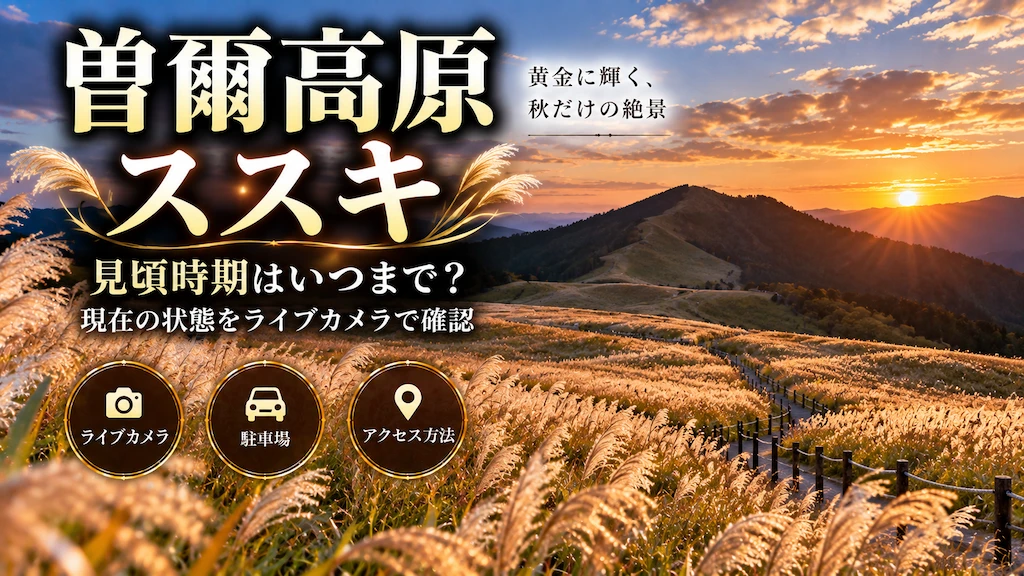 曽爾高原ススキ