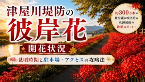 津屋川堤防の彼岸花