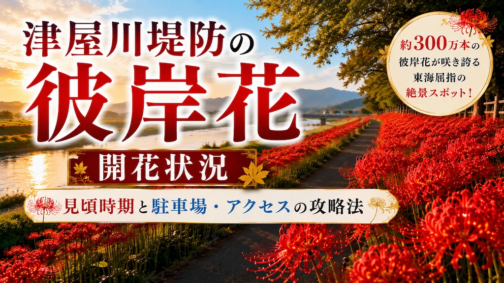 津屋川堤防の彼岸花