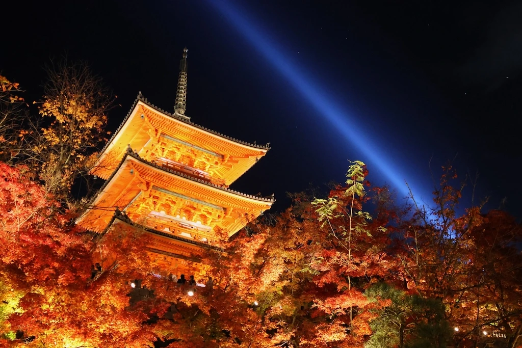 清水寺の紅葉ライトアップ